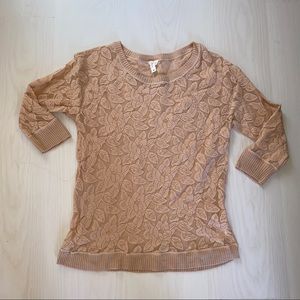 Anthropologie Eloise brush sheer lace top